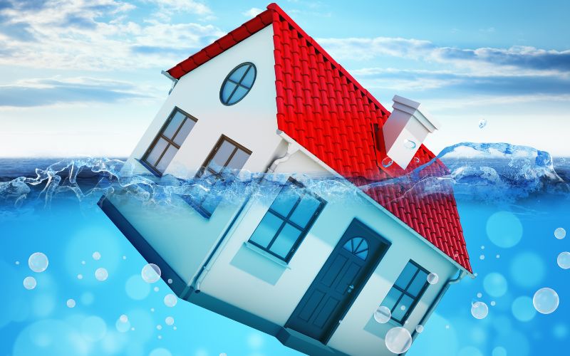 Untitled design (35).jpg